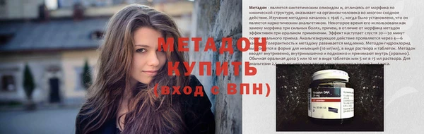 прущие грибы Михайловск