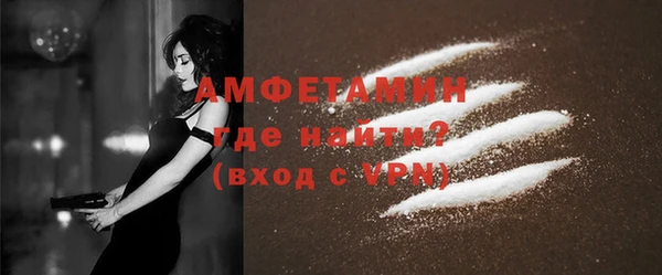 прущие грибы Михайловск