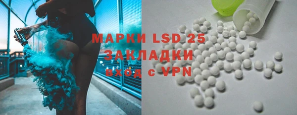 прущие грибы Михайловск