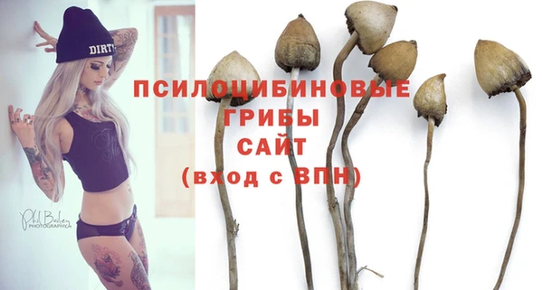 тгк Михайлов