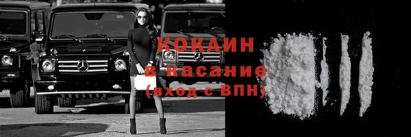 прущие грибы Михайловск