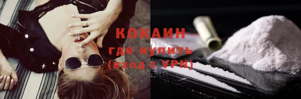 прущие грибы Михайловск