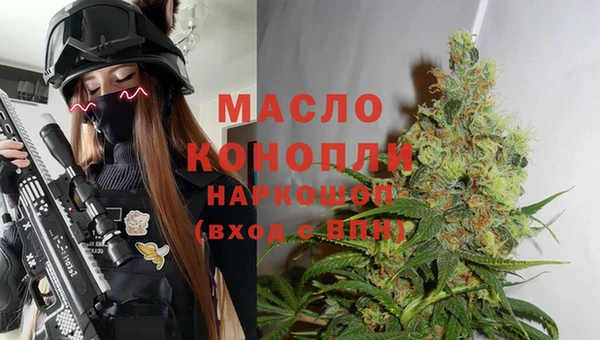 тгк Михайлов
