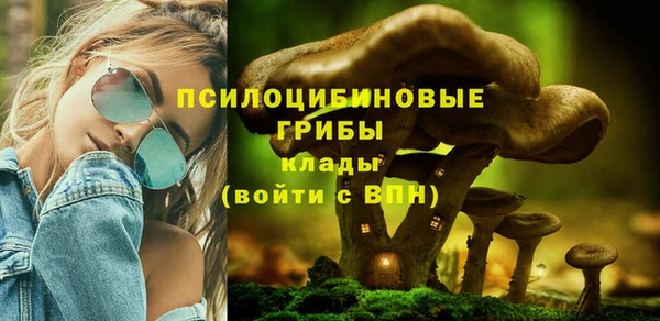 прущие грибы Михайловск