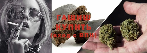 прущие грибы Михайловск